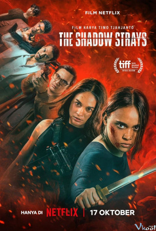 Sát Thủ Mật Danh 13 - The Shadow Strays