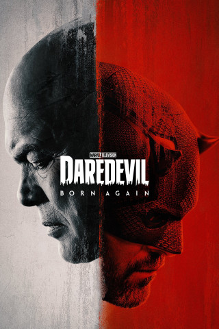 Phim Hiệp Sĩ Mù: Tái Sinh - Daredevil: Born Again