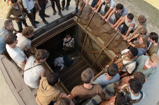 Xem Phim Giải Mã Mê Cung - The Maze Runner - Vkool.Net - Ảnh 5