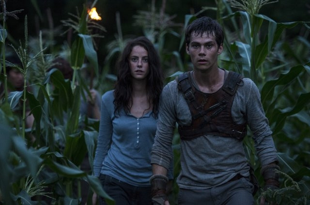 Xem Phim Giải Mã Mê Cung - The Maze Runner - Vkool.Net - Ảnh 4