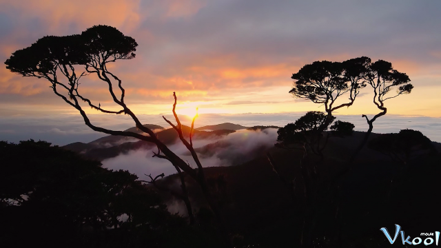 Xem Phim Những Công Viên Quốc Gia Kỳ Diệu - Our Great National Parks - Vkool.Net - Ảnh 2