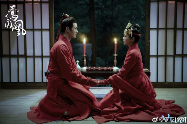 Xem Phim Phượng Tù Hoàng - Untouchable Lovers - Vkool.Net - Ảnh 3