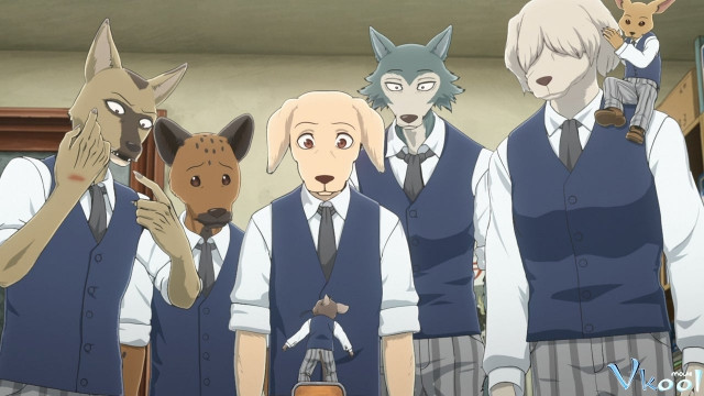 Xem Phim Beastars: Thế Giới Người Thú 2 - Beastars Season 2 - Vkool.Net - Ảnh 2