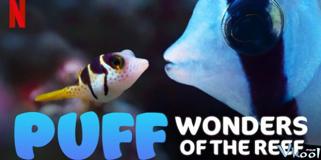 Xem Phim Puff: Rạn San Hô Kỳ Diệu - Puff: Wonders Of The Reef - Vkool.Net - Ảnh 2