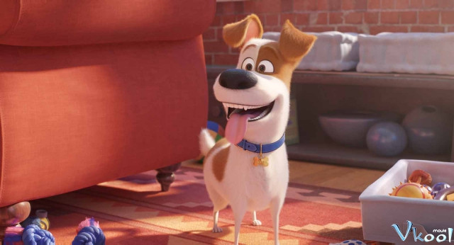 Xem Phim Đẳng Cấp Thú Cưng 2 - The Secret Life Of Pets 2 - Vkool.Net - Ảnh 4