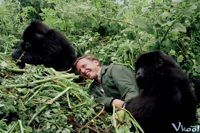 Xem Phim David Attenborough: Một Cuộc Đời Trên Trái Đất - David Attenborough: A Life On Our Planet - Vkool.Net - Ảnh 3