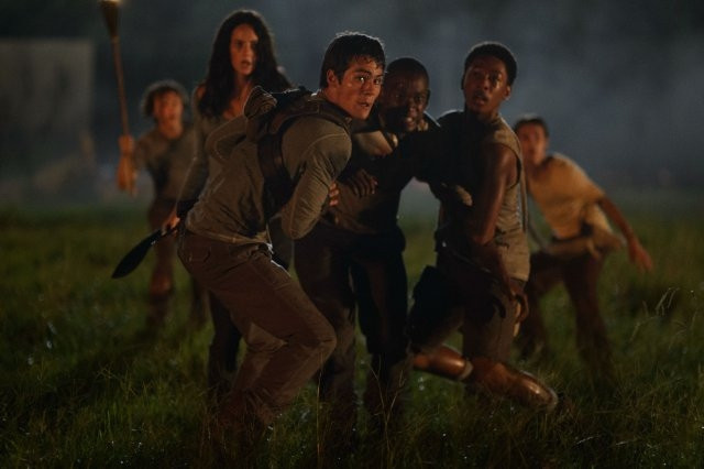 Xem Phim Giải Mã Mê Cung - The Maze Runner - Vkool.Net - Ảnh 7