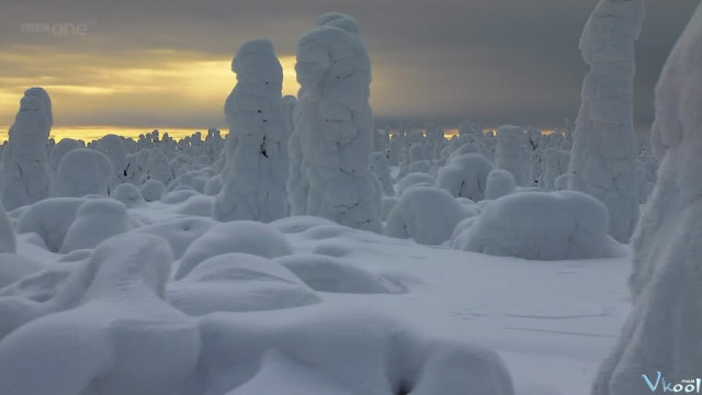 Xem Phim Hành Tinh Băng Giá - Bbc Frozen Planet - Vkool.Net - Ảnh 2