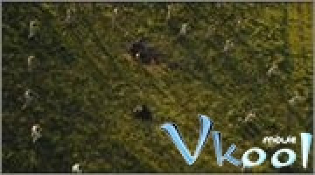 Xem Phim Chặng Đường Tôi Đi - My Way - Vkool.Net - Ảnh 7